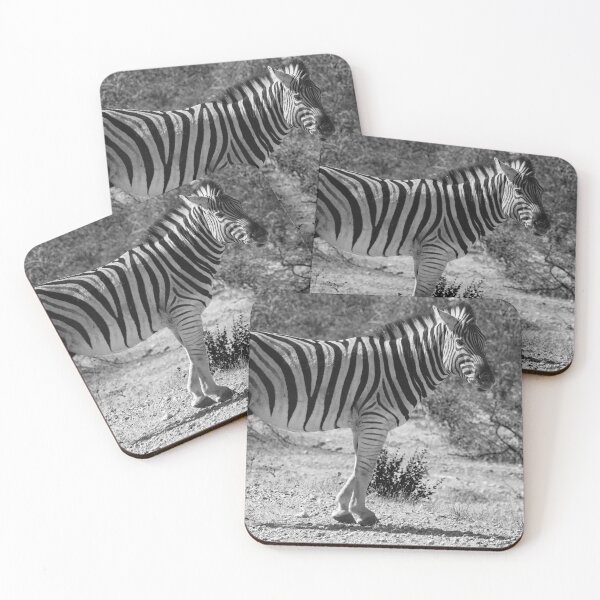 Item preview, Plains zebra in Etosha Park, Namibia designed and sold by Photopat.