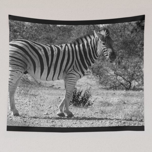 Item preview, Plains zebra in Etosha Park, Namibia designed and sold by Photopat.