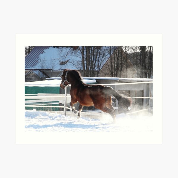 17.3.2018: Pony Running Fast Art Print
