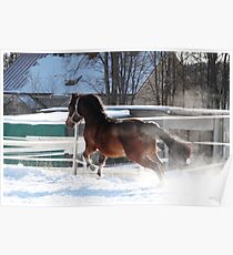 17.3.2018: Pony Running Fast Poster