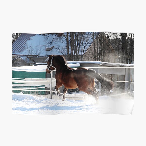 17.3.2018: Pony Running Fast Poster