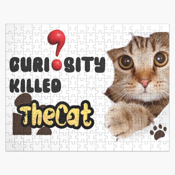 Curiosity Killed The Cat - English Cat Idioms and phrases