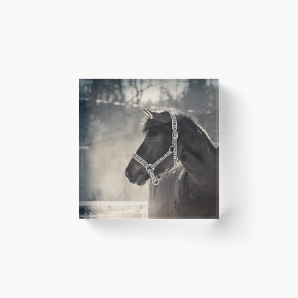 Item preview, 17.3.2018: Cute Pony II designed and sold by Petri Volanen.