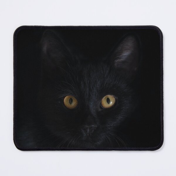 Item preview, Black cat yellow eyes designed and sold by KAY Artists.
