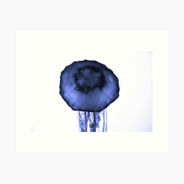 Blue Jellyfish Art Print