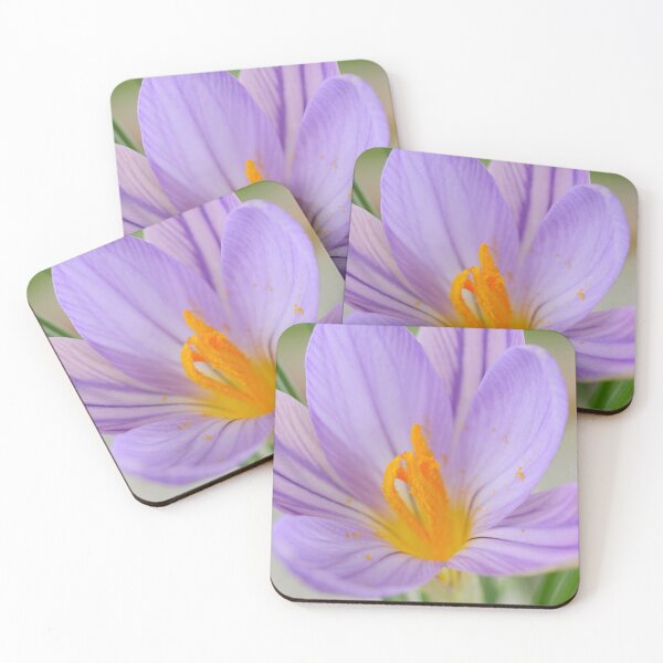 Item preview, Crocus imperati subsp. suaveolens   designed and sold by Chris Burrows.