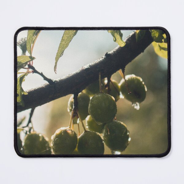 Item preview, Dawn of olives designed and sold by KAY Artists.