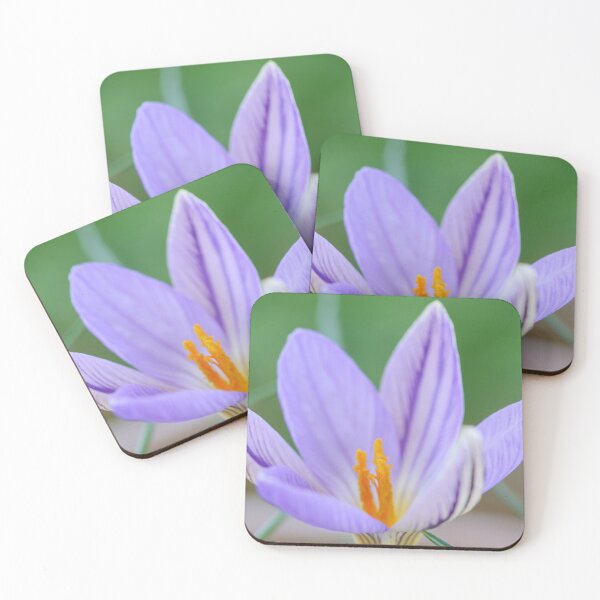 Item preview, Crocus imperati subsp. suaveolens   designed and sold by Chris Burrows.