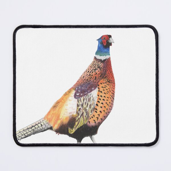 Item preview, Horatio the Pheasant designed and sold by nomdriver-art26.