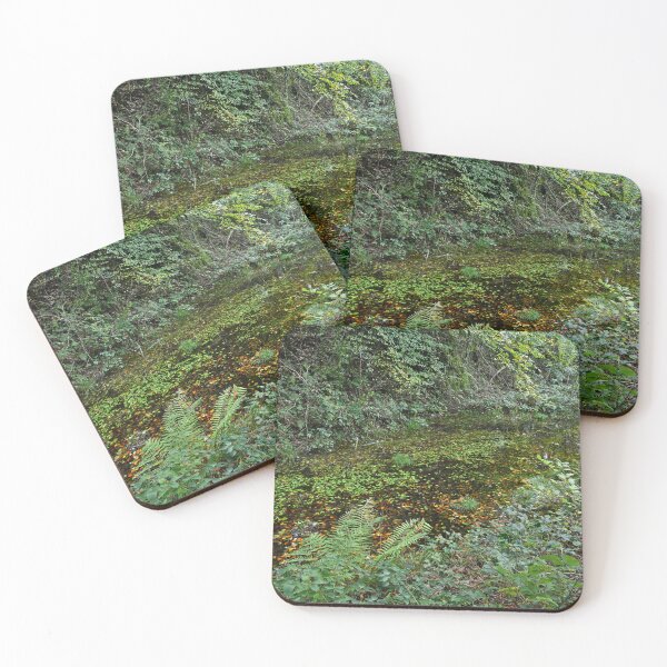 Item preview, One of a few ponds in Tyn Y Coed Woods designed and sold by Cameranick.