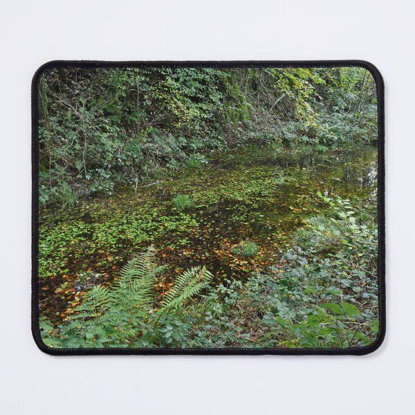 Item preview, One of a few ponds in Tyn Y Coed Woods designed and sold by Cameranick.