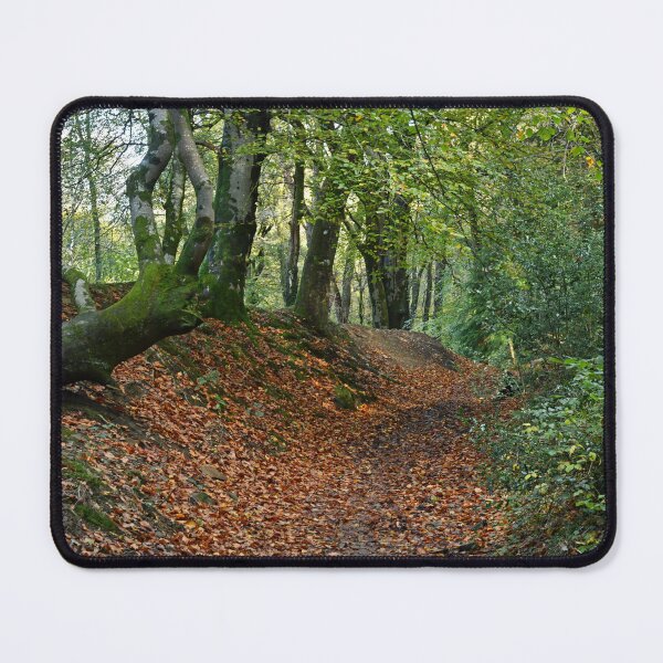 Item preview, Pathway into Tyn Y Coed Woods near Creigiau Cardiff designed and sold by Cameranick.