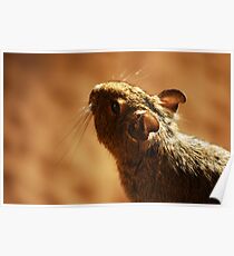 Mouse Poster