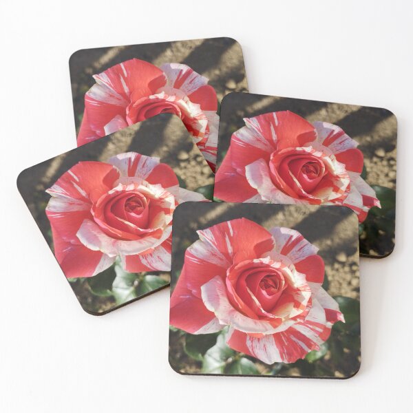 Item preview, Gorgeous Neil Diamond rose.  Blossoming Rose, Floral Beauty, Macro Photography. designed and sold by inspiration3.