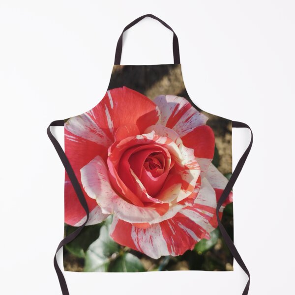 Item preview, Gorgeous Neil Diamond rose.  Blossoming Rose, Floral Beauty, Macro Photography. designed and sold by inspiration3.