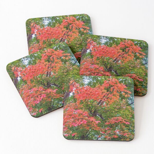 Item preview, Fall trees designed and sold by Shulie1.