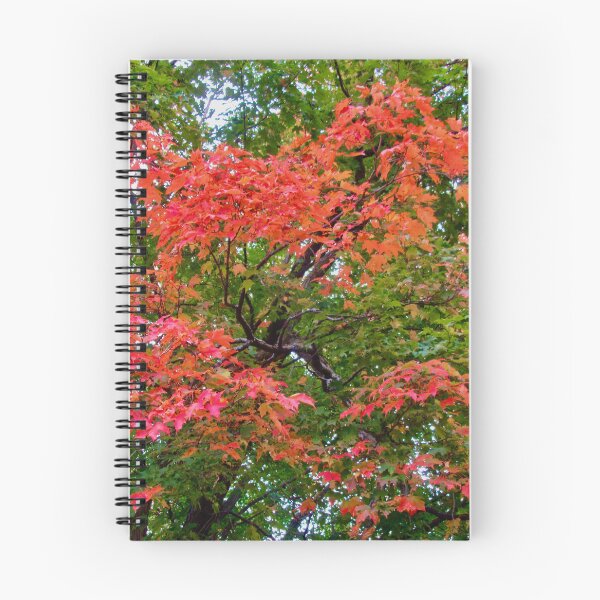 Item preview, Fall trees designed and sold by Shulie1.