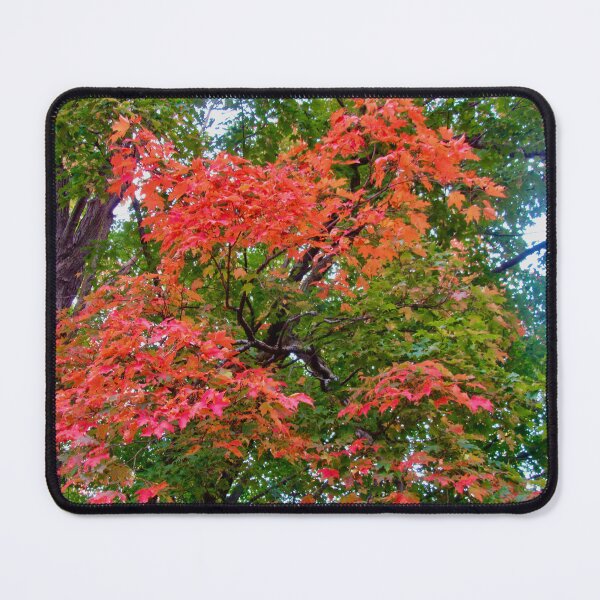 Item preview, Fall trees designed and sold by Shulie1.