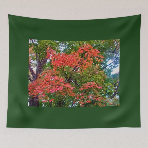 Item preview, Fall trees designed and sold by Shulie1.