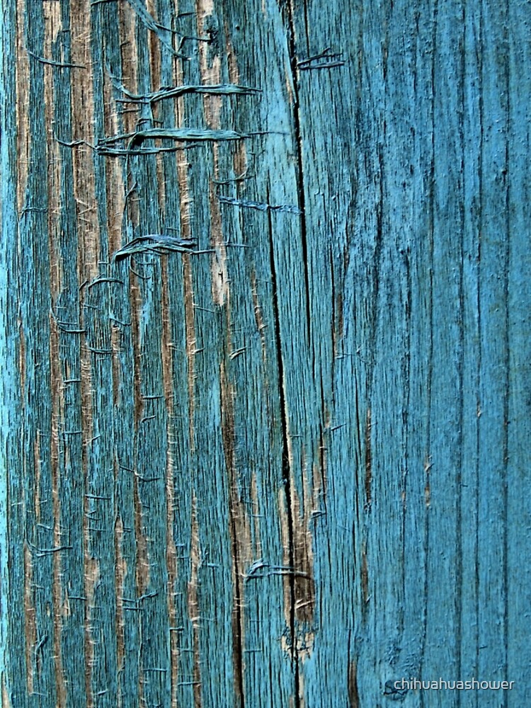 Rustic wood effect shabby print in turquoise by chihuahuashower