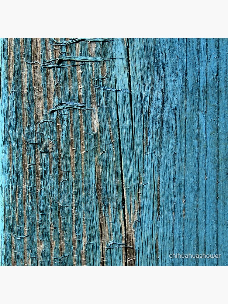 Rustic wood effect shabby print in turquoise by chihuahuashower