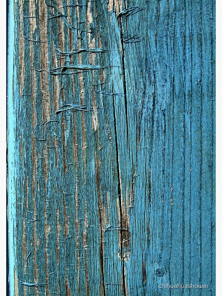 Rustic wood effect shabby print in turquoise by chihuahuashower