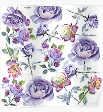 roses Poster