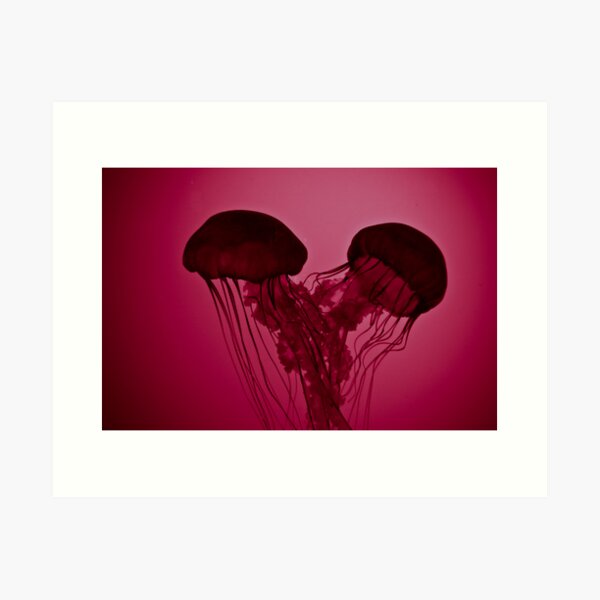 Jellyfish Love Art Print