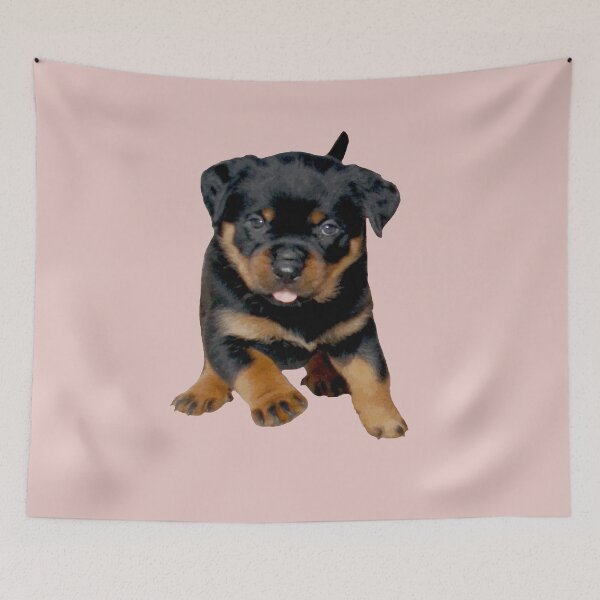 Item preview, Cute Rottweiler Puppy Running With Tongue Out designed and sold by taiche.