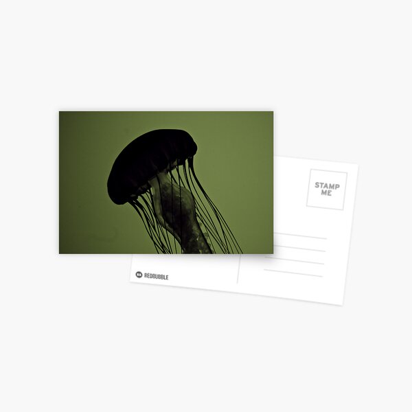 Jellyfish on Green Postcard