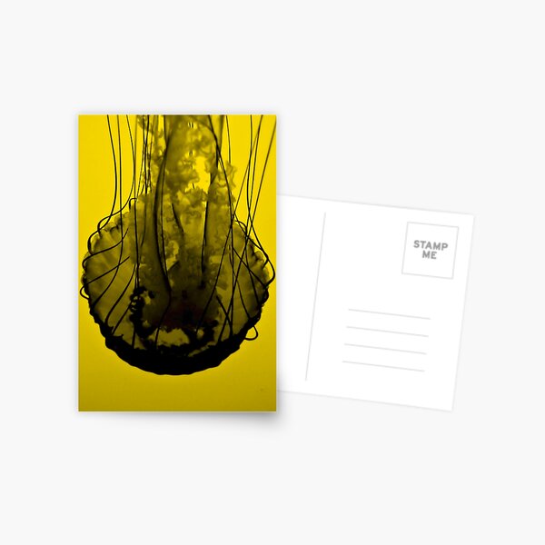 Jellyfish on Yellow Postcard