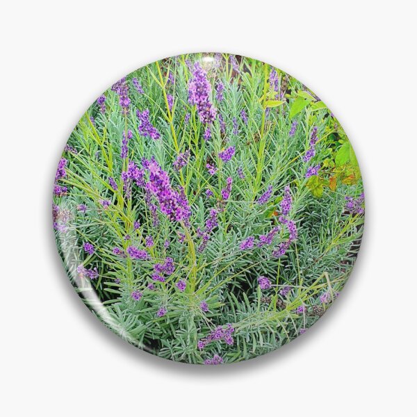 Item preview, Quinta do Lago gardens designed and sold by Tereza Pilar  Art.
