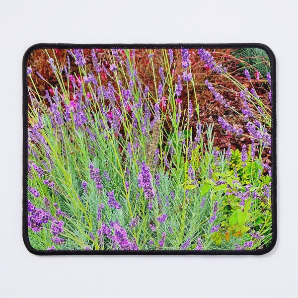 Item preview, Quinta do Lago gardens designed and sold by Tereza Pilar  Art.