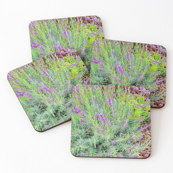 Item preview, Quinta do Lago gardens designed and sold by Tereza Pilar  Art.