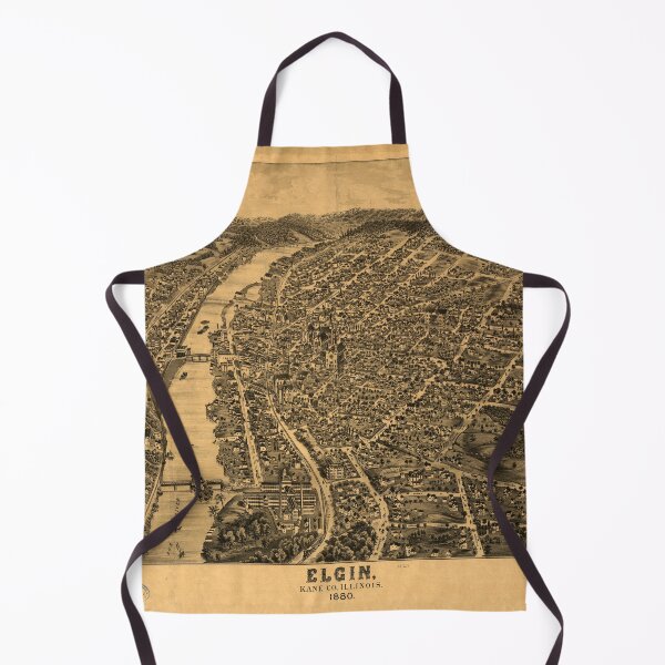Item preview, Elgin, Illinois (1880) designed and sold by allhistory.