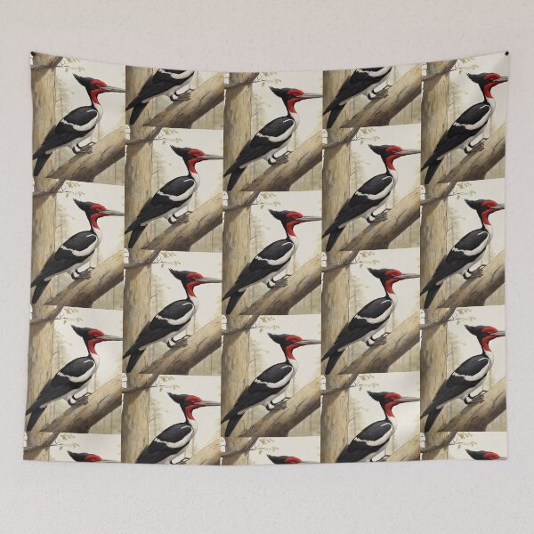 Item preview, The Ivory-billed Woodpecker designed and sold by CraftTee.