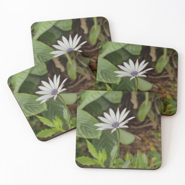 Item preview, Flor silvestre  designed and sold by Marcelodesenho.