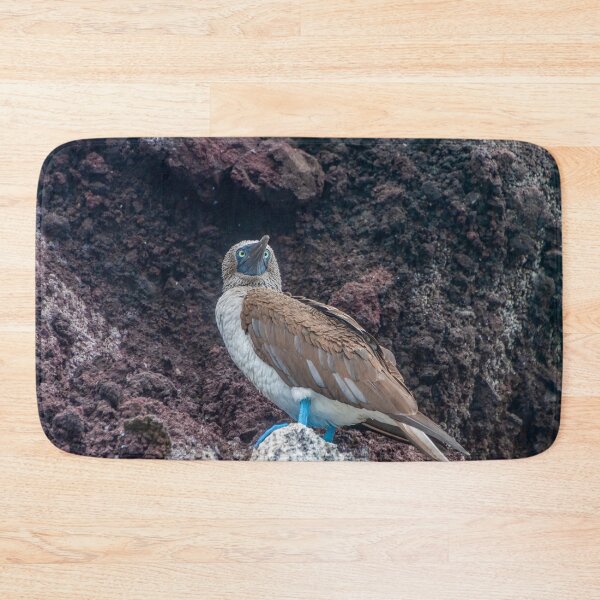 Artikelvorschau, Kreuzäugiger Blaufußvogel entworfen und verkauft von SafariByMarisa.