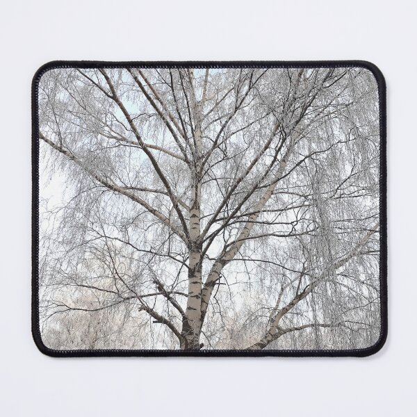 Item preview, Frozen birch tree designed and sold by NatureOnItems.