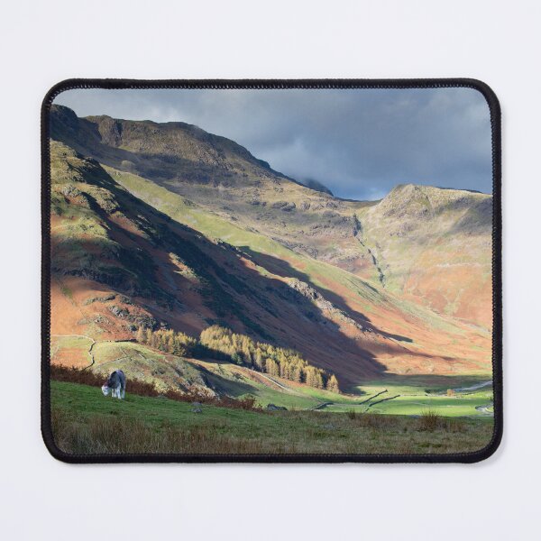 Item preview, Lone Herdwick sheep grazes with the Langdale fells in the background. designed and sold by RedGrouse.