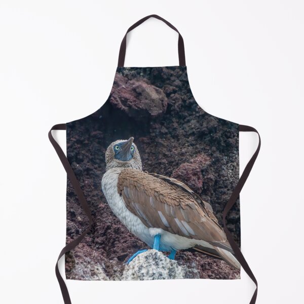 Artikelvorschau, Kreuzäugiger Blaufußvogel entworfen und verkauft von SafariByMarisa.