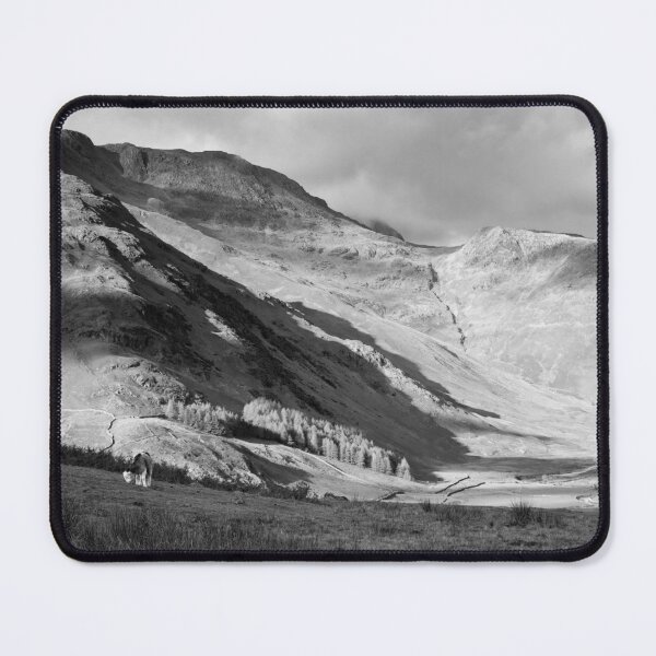 Item preview, A lone herdwick sheep grazes on the high ground above Great Landale in the Lake District. designed and sold by RedGrouse.