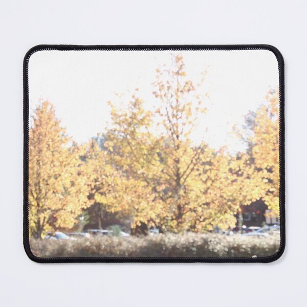 Item preview, Trees Photo designed and sold by kbrooks2.
