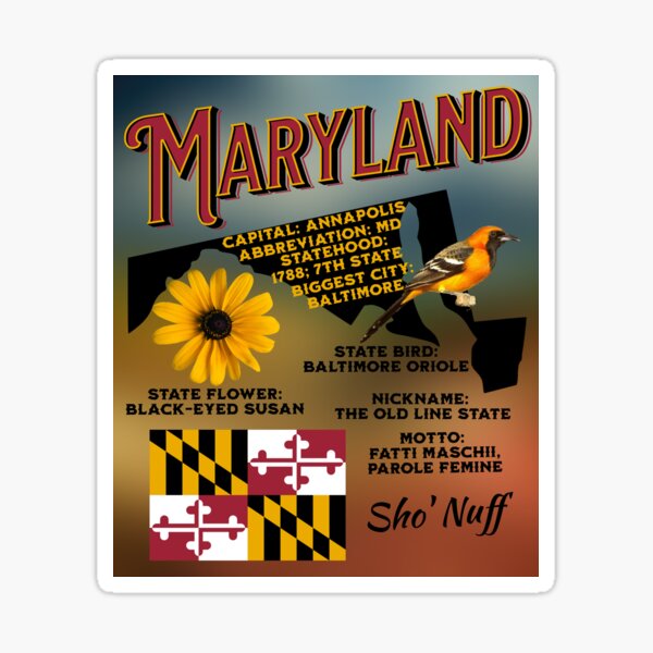 Item preview, The State of Maryland designed and sold by Mayoney.