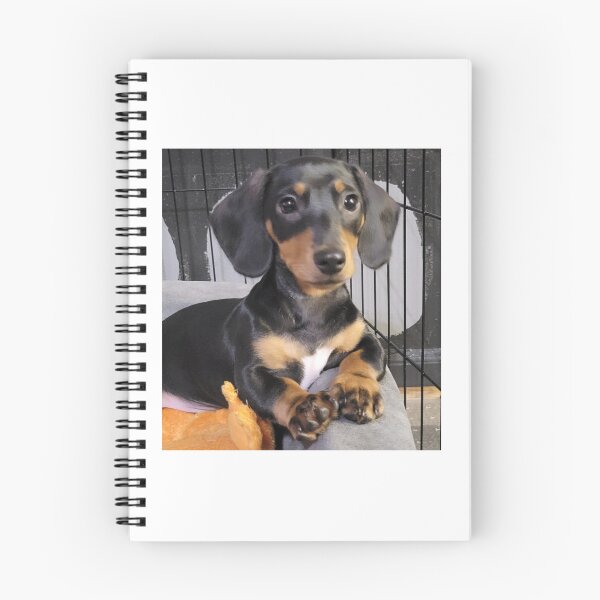 Item preview, Dachshund 1 designed and sold by OLDMAN420.