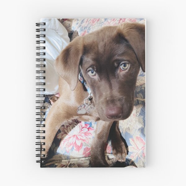 Item preview, Adorable Chocolate Lab Puppy designed and sold by emscaroline.