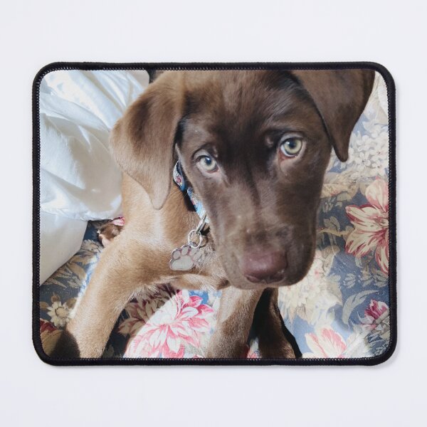 Item preview, Adorable Chocolate Lab Puppy designed and sold by emscaroline.