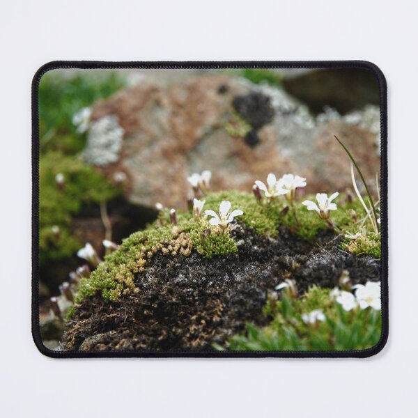 Item preview, Small Life designed and sold by frogsonsaturn.