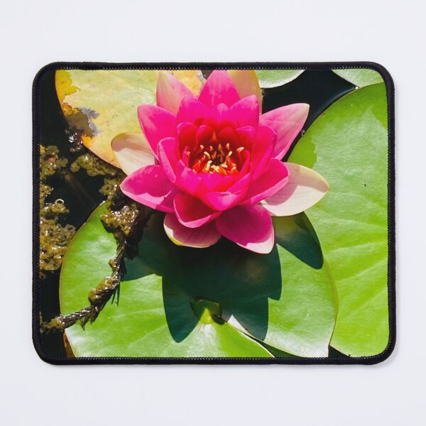 Item preview, Pink Flower on Lily Pad designed and sold by emscaroline.