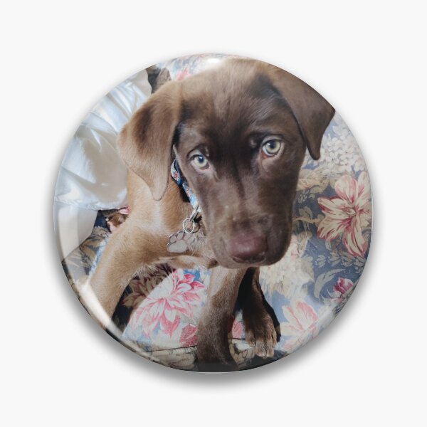 Item preview, Adorable Chocolate Lab Puppy designed and sold by emscaroline.